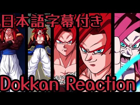 ドッカンバトル UR ゴジータ4 リアクション Dokkan UR Gogeta4 Reaction