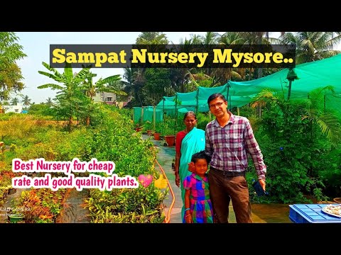 Plant nursery visit in mysore // Very cheap rate & all types of plants available //