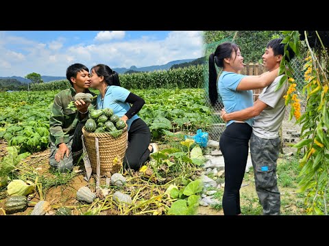 Linh and Dan raise ducks and pigs every day - Pick green squash to sell for extra income