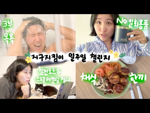 [유료광고포함] 🌱 앗! 지구지킴이 챌린지! 생각보다 쉽다!