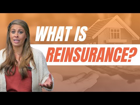 Why are insurance renewals going up? Reinsurance Investors - Part 3