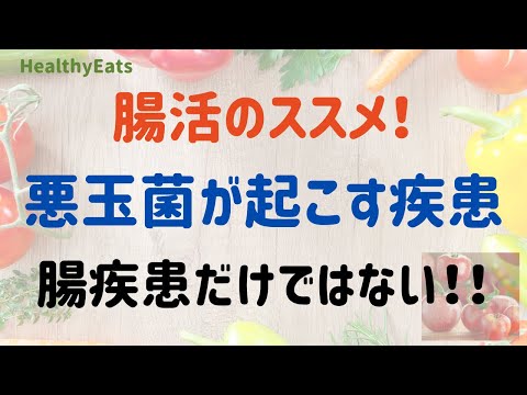 悪玉菌が引き起こす疾患とは？腸内環境を整える重要性