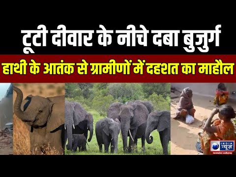 Breaking News :  हाथी ने घर पर बोला हमला | IndiaNews MPCG