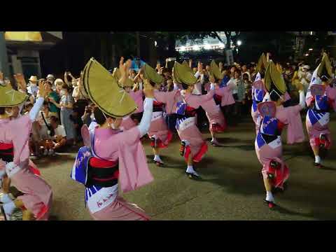 【徳島】阿波踊り 2023 サクラ色ヒマワリ色とりどりの花衣装「花やぐ」