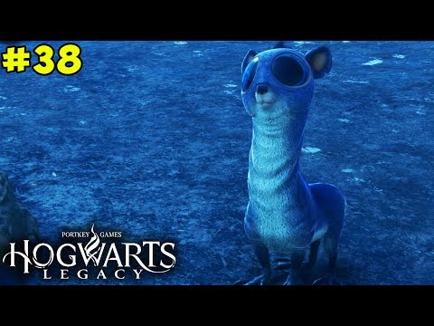 Poppy's Moonstone Mystery | Hogwarts Legacy | Let's Play Episode 38