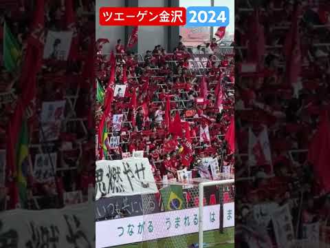 ツエーゲン金沢 2024 大宮アルディージャ戦 #shorts #soccer #ツエーゲン金沢 #応援図鑑