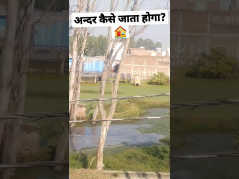 घर में जाने का रास्ता कहा है? Lake के बीच में घर🏠