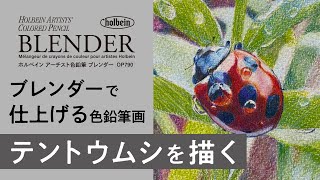 ブレンダーで仕上げる色鉛筆画「テントウムシを描く」