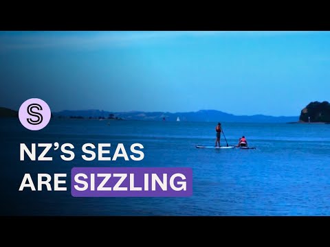 NZ warned to brace for another devastating weather event as seas sizzle | Stuff.co.nz