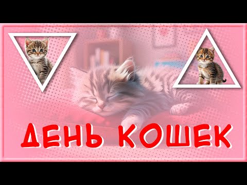 8 августа Красивое поздравление с Днем Кошек! Всемирный день кошек!  Всех Кошатников с праздником!