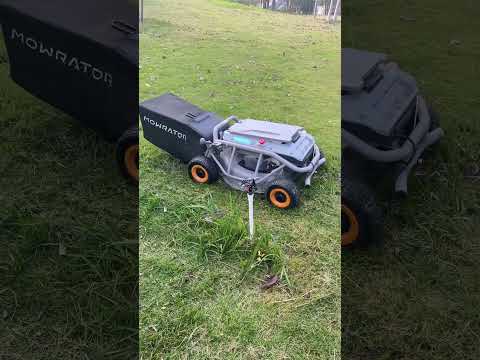 Mowrator S1 Test|Lawn Mowing ASMR