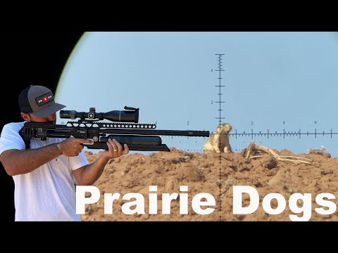 Prairie Dog Hunting With Airguns | We Smoked Em