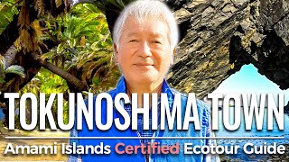 Eco tourism in Tokunoshima Town Tokunoshima Island English subtitles - 奄美群島認定エコツアーガイド 徳之島 徳之島町編 英語字幕