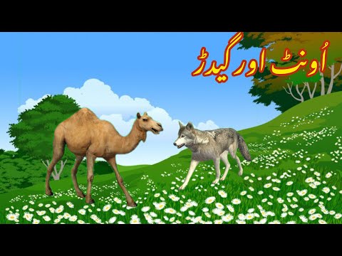 UNTH AUR GEDAR|اُونٹ اور گیدڑ | |Urdu cartoon stories |Urdu kahaniyaan | Moral Stories