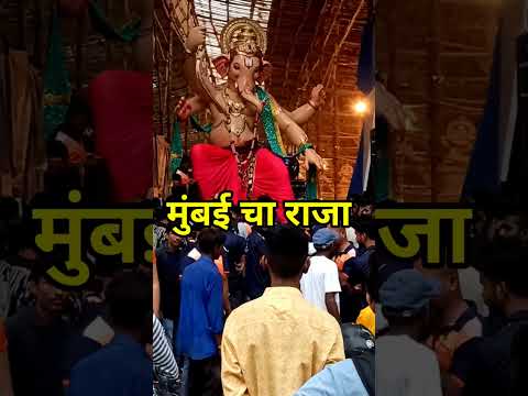 mumbai cha Raja || albaghcha raja  mumbai ganpati aagman 2024