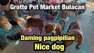 Grotto Pet Market bulacan 🇵🇭