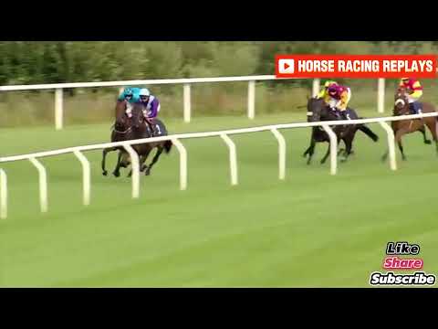 Daany / 5 Race Ffos las 30 Jul 2024