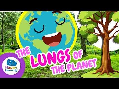 THE LUNGS OF THE PLANET | Natural Sciences for Kids | Happy Learning 🌳🫁😮‍💨