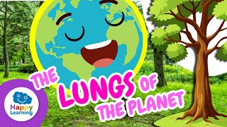 THE LUNGS OF THE PLANET | Natural Sciences for Kids | Happy Learning 🌳🫁😮‍💨