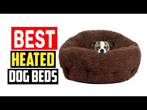 ✅Top 5  Best Heated Dog Beds in 2024