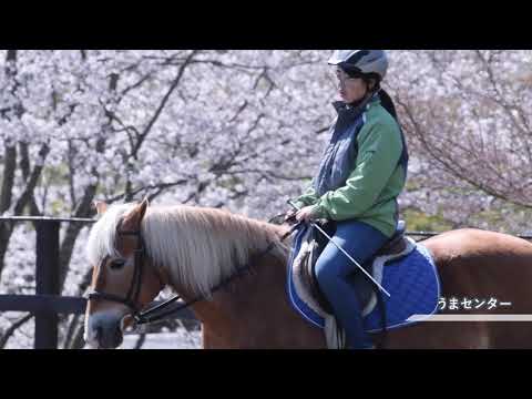 ドローンで紹介する 帝京科学大学＠東京西キャンパス