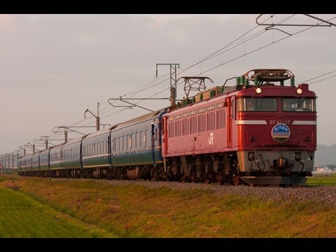 2022レ 寝台特急あけぼの EF81-137 2013/6/29