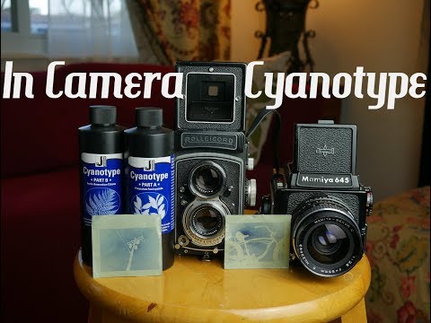 In Camera Cyanotype Tutorial Alternative Process Photography