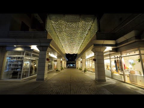 【東京編】代官山駅から始まる散歩：４K  Japan Daikan-Yama