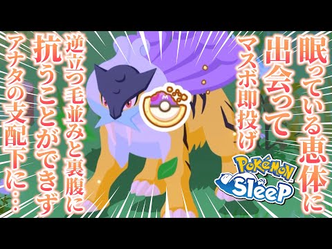 卑猥っぽい単語とライコウサムネにしたらみんな見てくれるんじゃないか？？【ポケモンスリープ】