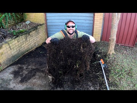 Deceased Client Gets FREE NEGLECTED OVERGROWN Lawn Mowing Transformation| Amazing Lawn Care MAKEOVER