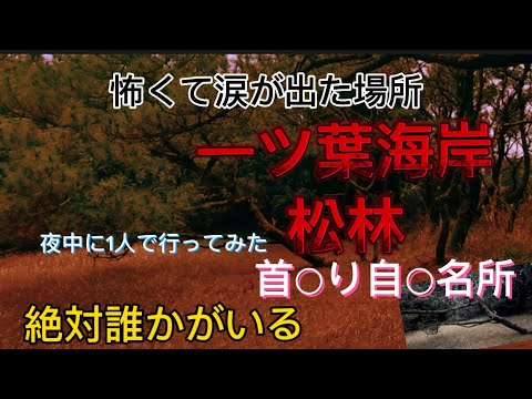 【心霊スポット】一ツ葉海岸宮崎||首○り自○の名所一ツ葉海岸の松の木||夜中に1人で行ってみたら怖すぎた||