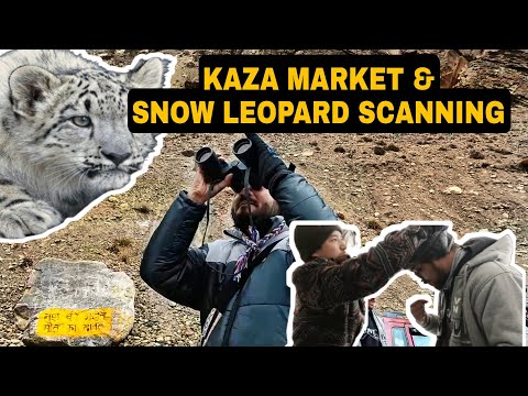 Snow Leopard Scanning | Kaza Market | Spiti Vlog 11 | Local Market In Spiti Valley |