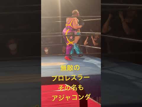 【密着24時】無敵のプロレスラーであるアジャコングと戦ってみた結果… #shorts