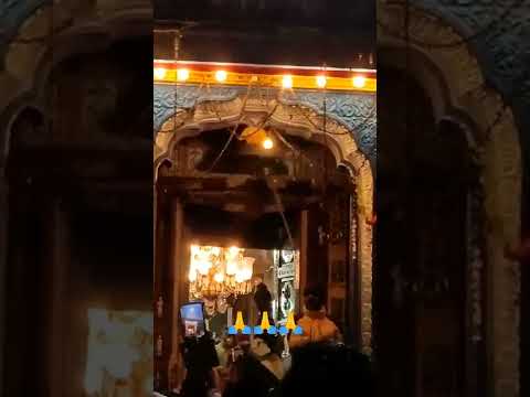 Kedarnath Temple Aarti 🙏 | Har Har Mahadev 🚩🚩🚩