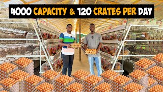 Inside a 4000 Capacity Battery Cage Poultry Farm producing 120 crates of Eggs/day in Ghana 🇬🇭