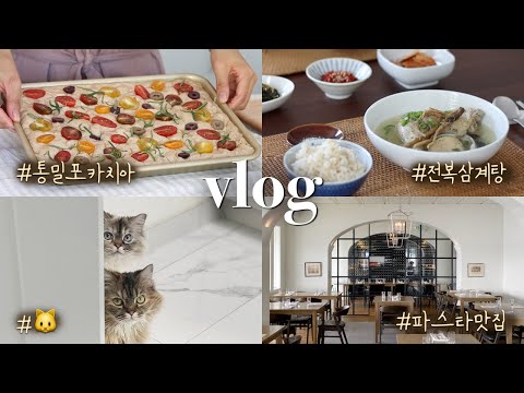 Seattle DiariesㅣNo-Knead Focaccia with Tomatoes, Instant Pot Samgyetang, My Lovely Cats + moreㅣVLOG