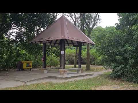 Pulau Ubin -Day camping- Part 2 ( Walking to Jelutong Campsite)