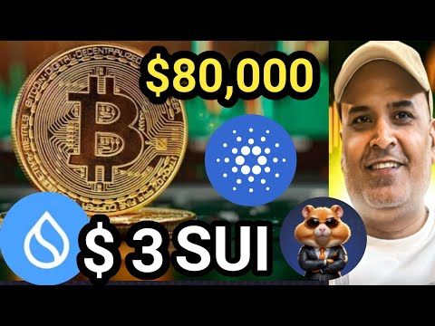 $ 3 SUI || BTC $80000 🔥 BOOM || X Empire , Hamster Kombat PUMP || Crazy Crypto Mintoo