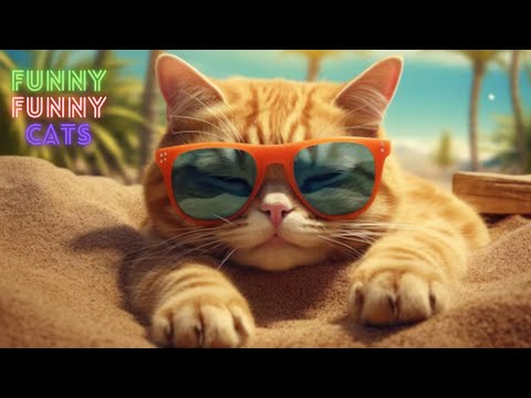 Funny Cat Videos Compilation😹Funny Cat Videos Try Not To Laugh😺 Funniest Cat Videos in The World #86