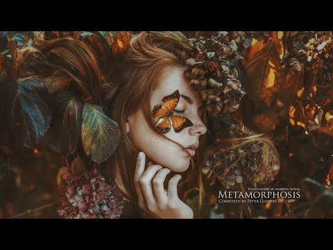 Metamorphosis | Epic Emotional Music