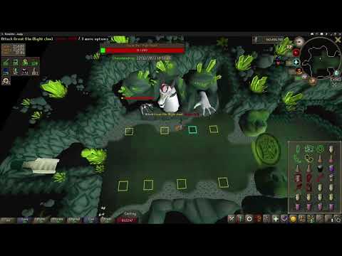 [OSRS] Undying Raider | Solo Olm (Fang 1:0)