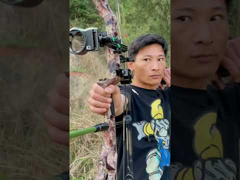 这是一个不错的慢动作射箭 70码距离 凶狠的箭头 pse evl32