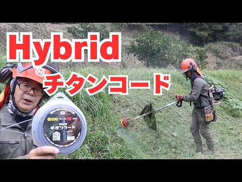 自宅周辺のカボス畑をキレイに刈る！Hybridチタンコード レギュラー 角2.3㎜