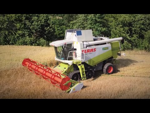 Getreideernte 2021 mit einem Claas Lexion 480 Terra Trac im südlichen Emsland