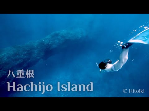 八丈島でシュノーケリング：Free Diving in Japan's Snorkeling Spot Hachijo Island Yaene | Turtle, Arch