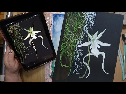 Ghost Orchid watercolor painting. #watercolorpainting