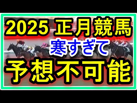 正月競馬。金杯で超大穴に万張り。とにかく寒すぎて馬の筋肉が硬くなってるので予想不可能です。皆さんも無理だけはしないでください。