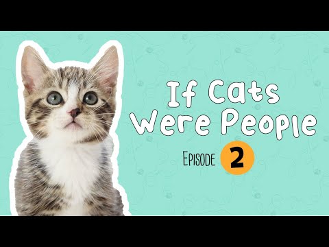 Episode 2: If People Were Cats