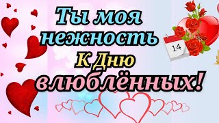 К Дню  Влюбленных! Ты моя нежность! Музыкальное видео. СТИХиЯ