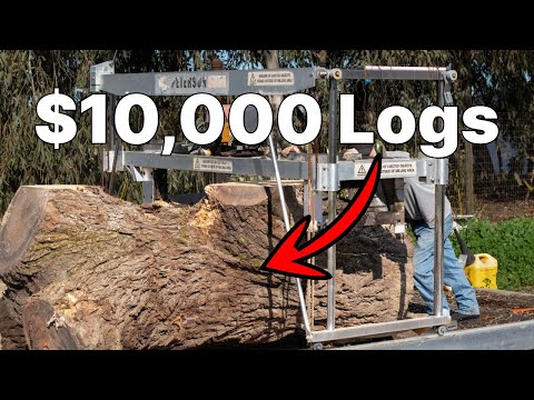 Buying & Cutting A Truckload Of Logs From Oregon